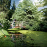Мотокоса STIHL FS 111