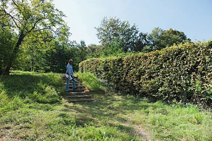 Триммер электрический STIHL FSE 81